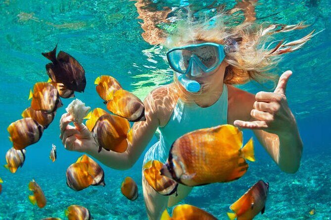 1 Hour Private Snorkeling Activity In Montego Bay - Key highlights to know before you go