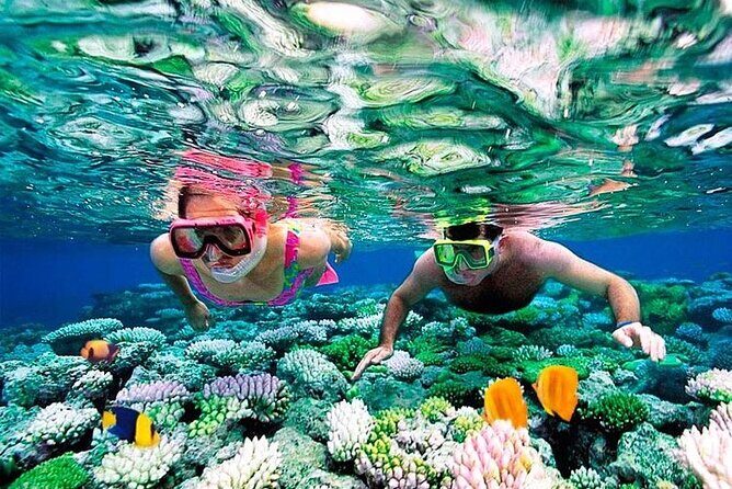 1 Hour Private Snorkeling Activity In Montego Bay - Gear and Instructions: Built for First-Timers (But You Still Need to Bring Your A-Game)