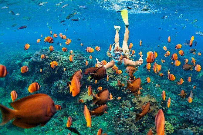 1 Hour Private Snorkeling Activity In Montego Bay - Cameras, Phones, and GoPros: How to Get Shots That Actually Work