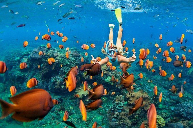 1 Hour Private Snorkeling Activity In Montego Bay - What You’re Really Paying For: The Value of $110