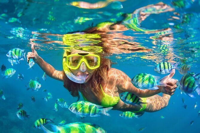 1 Hour Private Snorkeling Activity In Montego Bay - How the Timing Feels: One Hour Is Short, So It’s Focused
