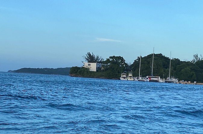 4 Hours Party Boat Catamaran Cruise in Negril - Rick’s Cafe finale: cliff-jump option and the best payoff for the day