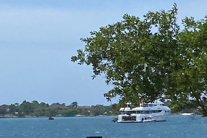 4 Hours Party Boat Catamaran Cruise in Negril - Price and value: what $190 buys in real terms