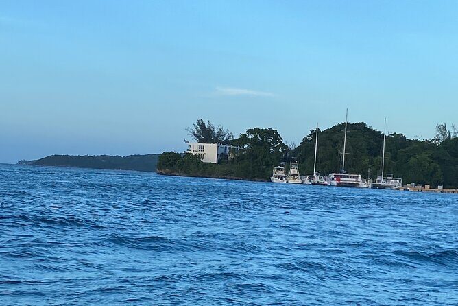 4 Hours Party Boat Catamaran Cruise in Negril - Comfort, crowd size, and what “most travelers can participate” means