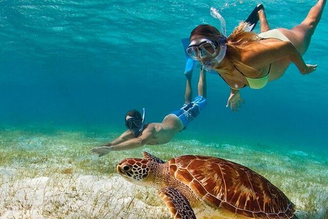 Adventurous-Snorkeling With Sightseeing of Montego Bay - Key Highlights I’d Zoom In On
