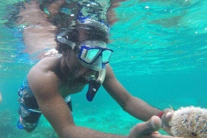 Adventurous-Snorkeling With Sightseeing of Montego Bay - What This Montego Bay Snorkel-and-See Plan Feels Like