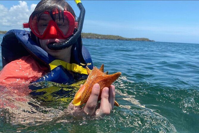 Adventurous-Snorkeling With Sightseeing of Montego Bay - Food and Drinks: Jerk Chicken or Jerk Pork Plus Market Snacks