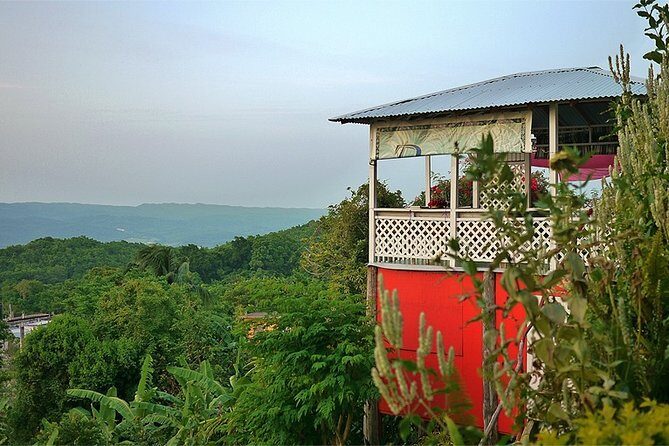 Ahhh Ras Natango Gallery and Garden Private Transfer - Seasonal juice: a small finish that changes the tone