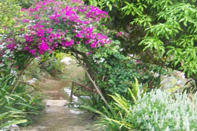 Ahhh Ras Natango Gallery and Garden Private Transfer - Price and value: is $97.44 fair for what you get?