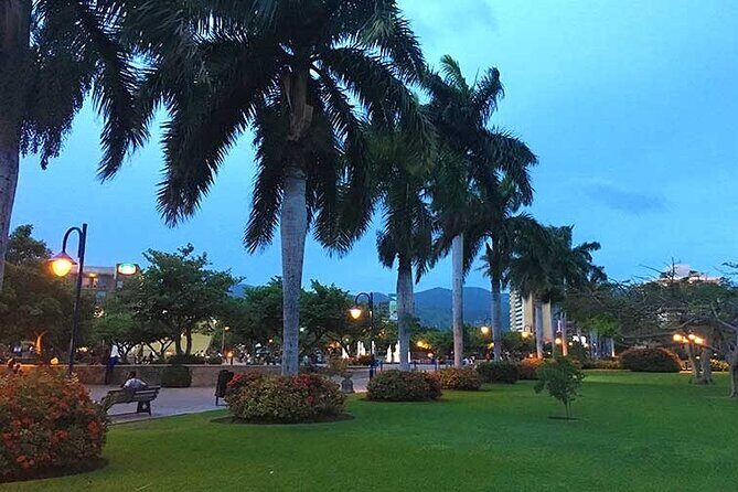 Airport Group Transfers-Kingston - Who should book Airport Group Transfers–Kingston?