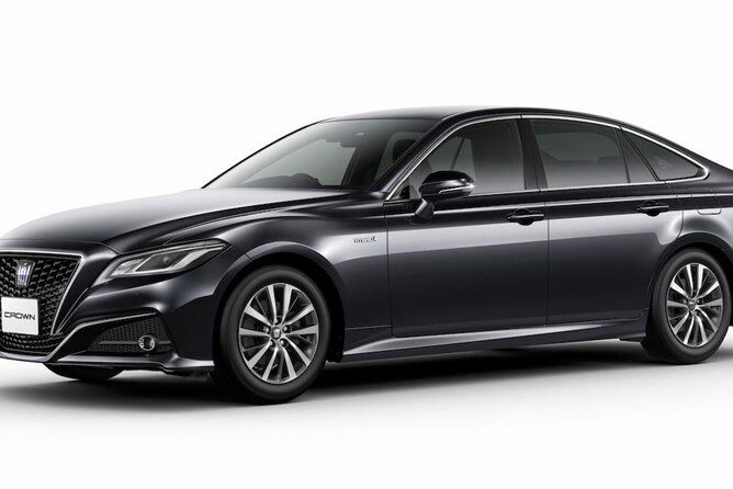 Airport Private Transfers from Montego Bay to Hilton Rose Hall - One-Way or Round-Trip: Picking the Option That Fits Your Schedule