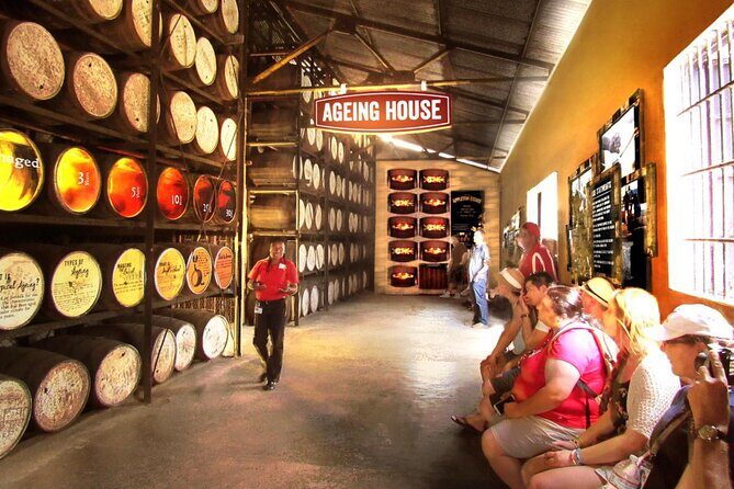 Appleton Estate Rum Factory And YS Falls Inclusive Tours From Montego Bay - Stop 2: Appleton Estate in St. Elizabeth and the cane-to-rum story