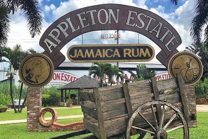 Appleton Estate Rum Private Tour - The tasting portion: 10 rums without losing your mind