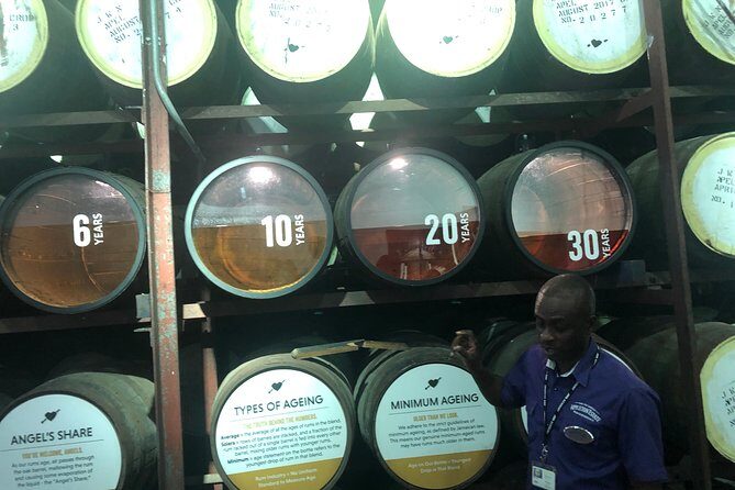 Appleton Estate Rum Tour - Negril to Appleton Estate: Why the Private Transfer Matters
