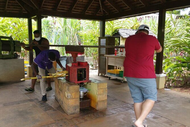 Appleton Estate Rum Tour and Pelican Bar Customize Tour - Floyd’s Pelican Bar: the boat ride, the ocean setting, and Jamaican lunch