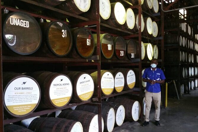 Appleton Estate Rum Tour and Pelican Bar Customize Tour - What you get for $120: transport, air-con comfort, and included drinks