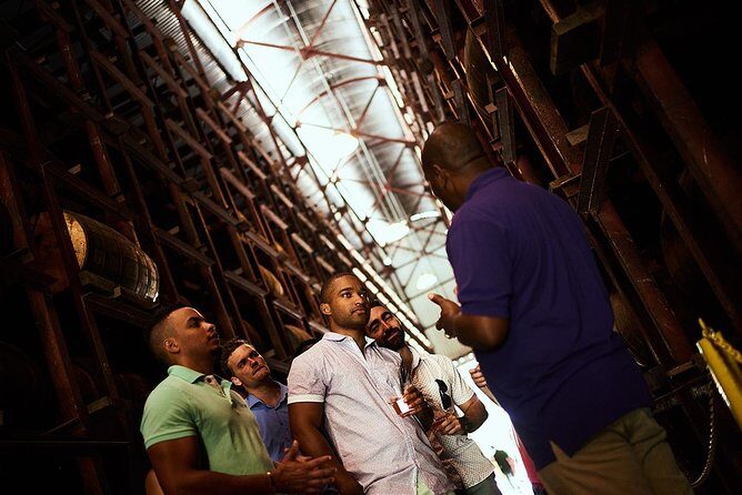 Appleton Estate Rum Tour and Tasting from Kingston - Kingston to Joy Spence: why this rum day feels like good planning