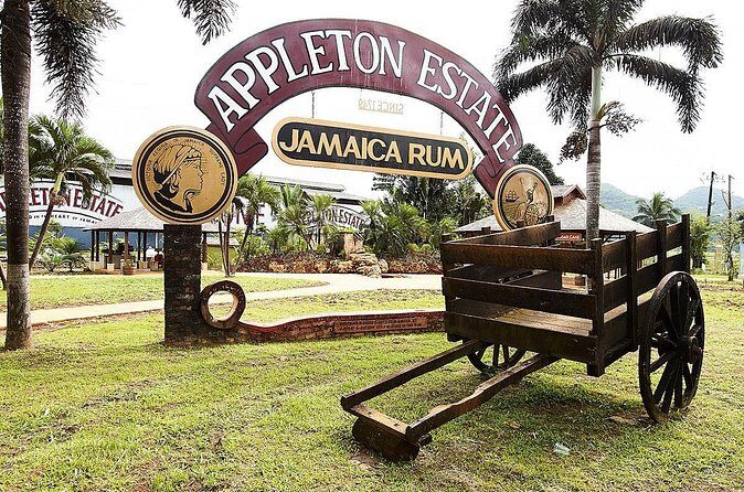 Appleton Estate Rum Tour and Tasting from Kingston - Your rum tasting: how to make it more than a quick sip