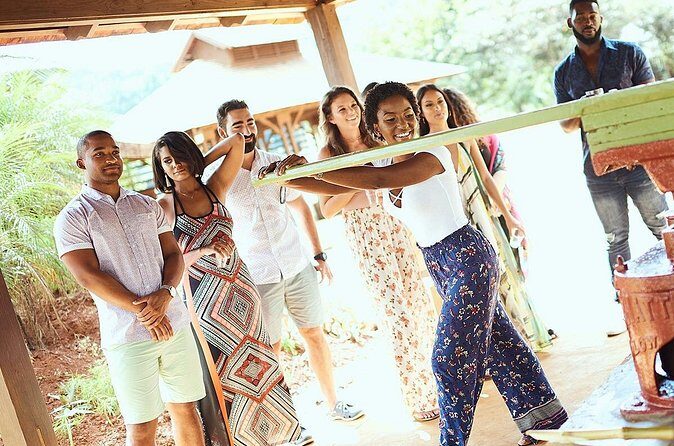 Appleton Estate Rum Tour and Tasting from Kingston - Price and value: does $282.06 make sense?