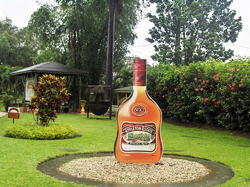 Appleton Estate Rum Tour: Full Day from Montego Bay - Appleton Estate: stepping into an operation shaped by sugarcane