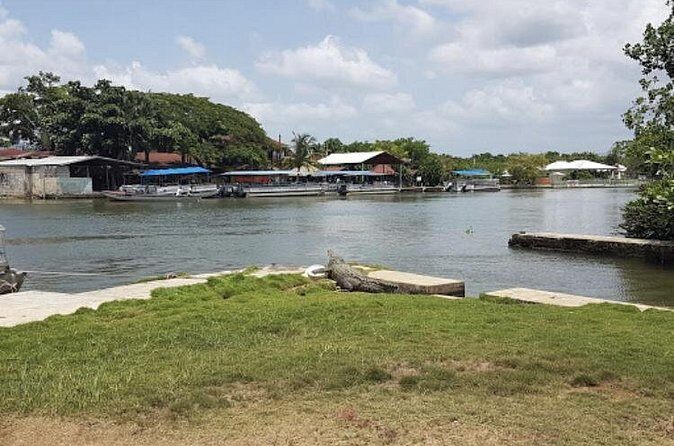 Appleton Estate Rum, YS Falls, Black River Safari / Floyd's Pelican Bar Tour - Timing, Weather, and Staying Comfortable for 8–10 Hours