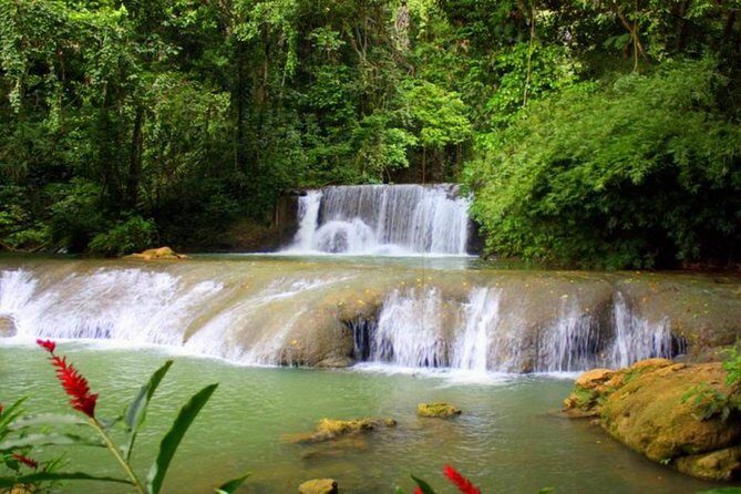Appleton Estate, Ys Falls and Black River Safari Private Tour - How this private combo makes a big Jamaica day fit