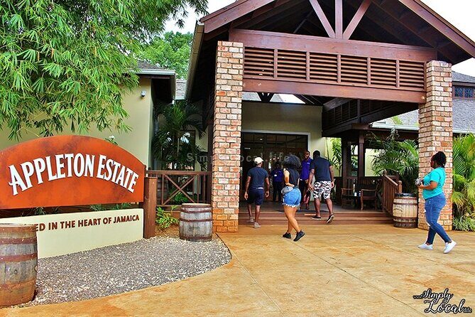 Appleton Estate, Ys Falls and Black River Safari Private Tour - Black River Safari: crocodiles, birds, and one-guided-hour on the water