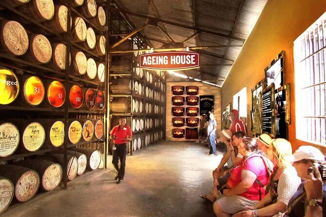 Appleton Estate, Ys Falls and Black River Safari Private Tour - The real logistics: pacing, transport, and comfort