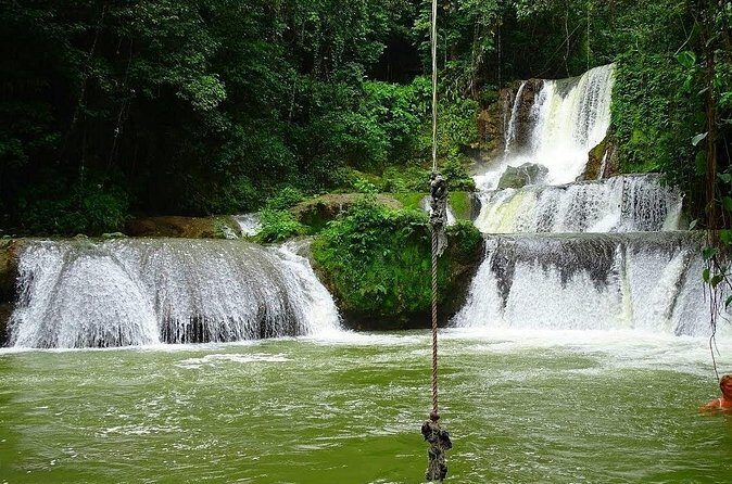 Appleton Estate, Ys Falls and Black River Safari Private Tour - Price and value: is $242 per person a smart deal?