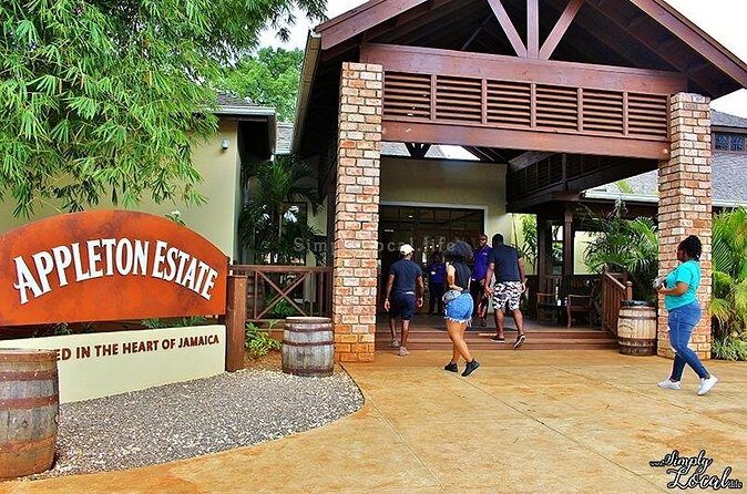Appleton Estate, Ys Falls and Black River Safari Private Tour - What it feels like in different travel styles