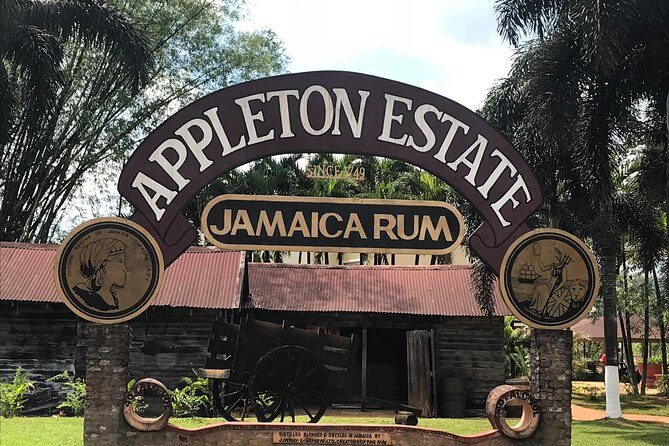 Appleton Rum Factory, YS Falls, and Reggae Horseback Ride & Swim Combo Tour - Key highlights worth planning around