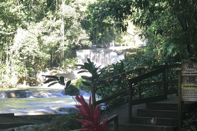 Appleton Rum Factory, Ys Falls, Black River Safari, Floyd’s Pelican Bar - Who this tour is best for (and who should skip it)