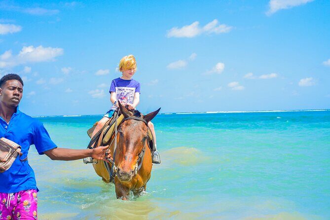 Aqua Fun Tours Dunns Falls, River Tubing and Horse Back - Dunn’s River Falls Park: The 600-Foot Climb