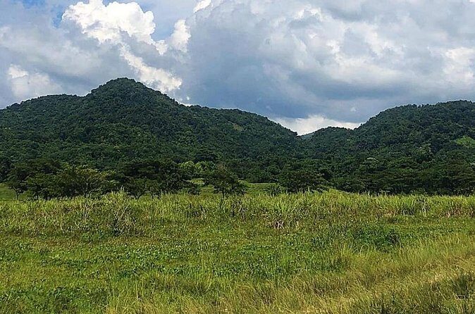 ATV Experience, cultural and social tour - Culture and Rastafari Lifestyle: How the Story Connects to What You See