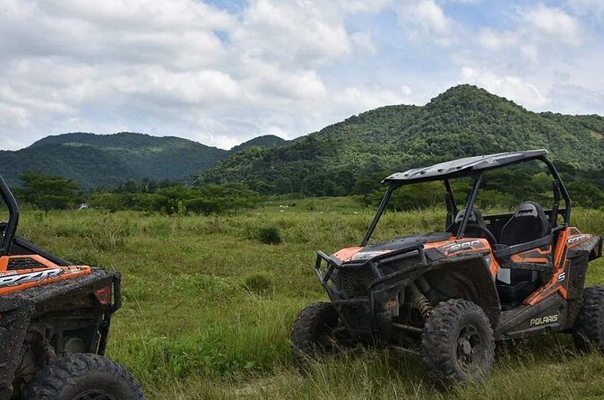 ATV Experience, cultural and social tour - The Food and Drinks: Ital Meal Plus Social Pace