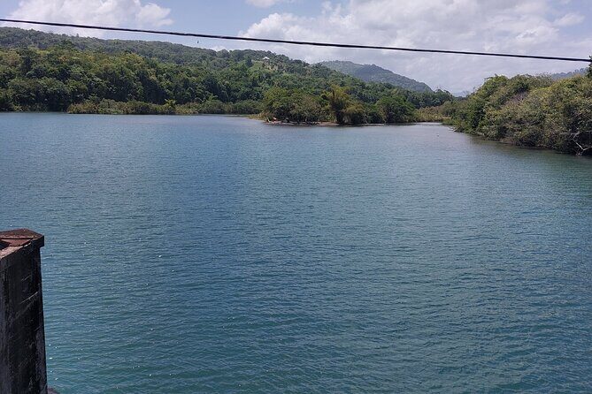 Bamboo Rafting and Boston Jerk Centre Tour in Portland Jamaica - Private Transportation, WiFi, and a 9:00 AM Start
