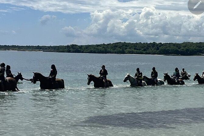 Bamboo Rafting and HorseBack Riding Excursion in OchoRios Jamaica - Quick hits before you go
