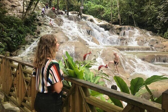 Bamboo Rafting, Dunn's River Falls and Horseback Riding Private Tour - Who should book this private tour (and who should reconsider)