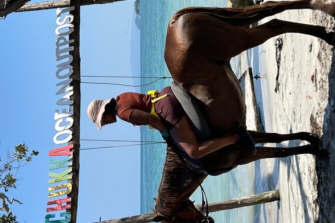 Bamboo Rafting & Horseback -dunns river Transportation Included - Who should book this tour (and who should skip it)