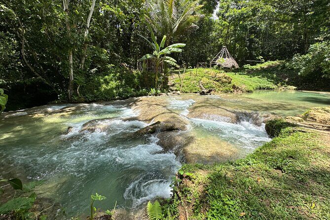 Benta River & Falls Private Tour From Montego Bay - Rope swing: the fun part you can’t fake
