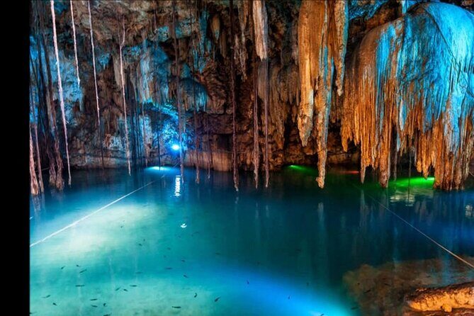 Bioluminescence Lagoon Tour from Montego Bay with Pick Up - Night-Glow Jamaica: What Bioluminescence Looks Like (and Why)