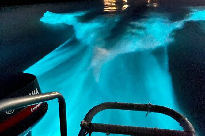 Bioluminescence Lagoon Tour from Montego Bay with Pick Up - Weather, Moon, and Expectations: How to Protect Your Night