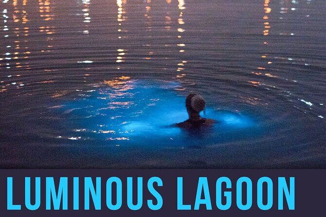 Bioluminescence Lagoon Tour from Montego Bay with Pick Up - What to Bring (So You Don’t Fuss in the Dark)