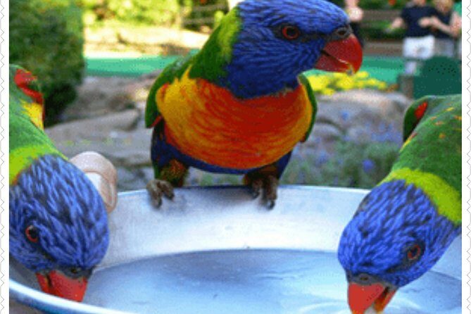 Bird Sanctuary and animal farm Day Tour - Key things I’d circle on your plan