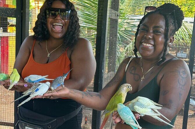 Bird Sanctuary and animal farm Day Tour - Price and value: is $100 per person fair for 3 hours?