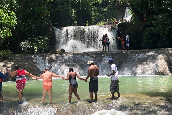 Black River Safari and YS Falls - Black River Safari in Negril: calm boat time with real animal spotting