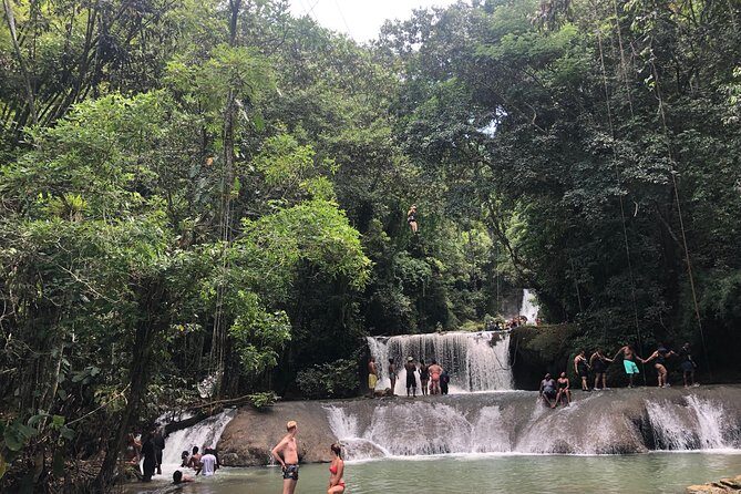 Black River Safari and YS Falls - The guide effect: DeMar and how good direction improves the day
