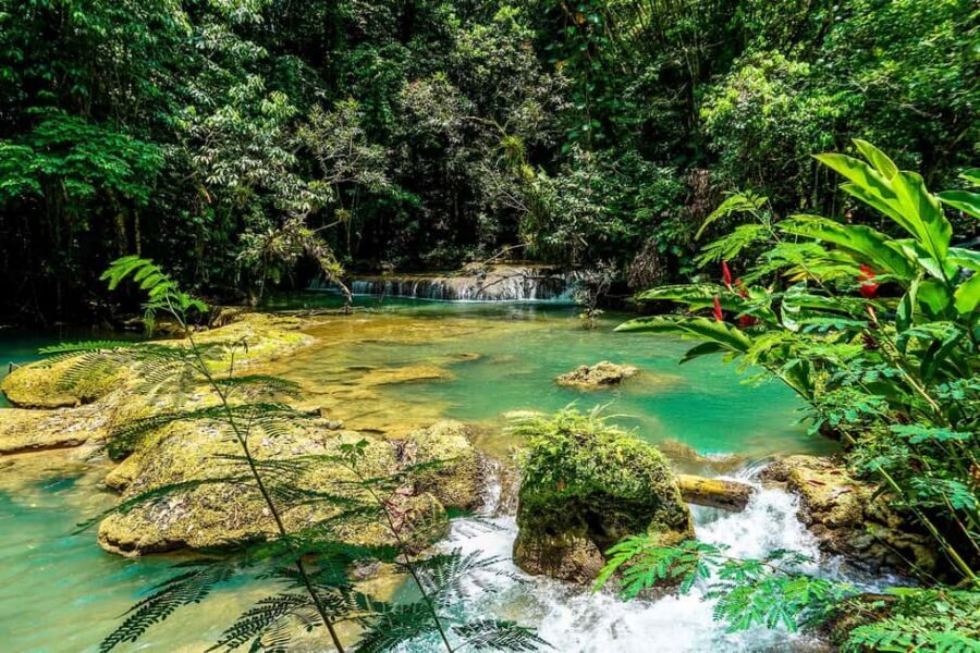 Black River Safari and Ys Falls Tour and Transportation - Book It or Pass: My Final Take