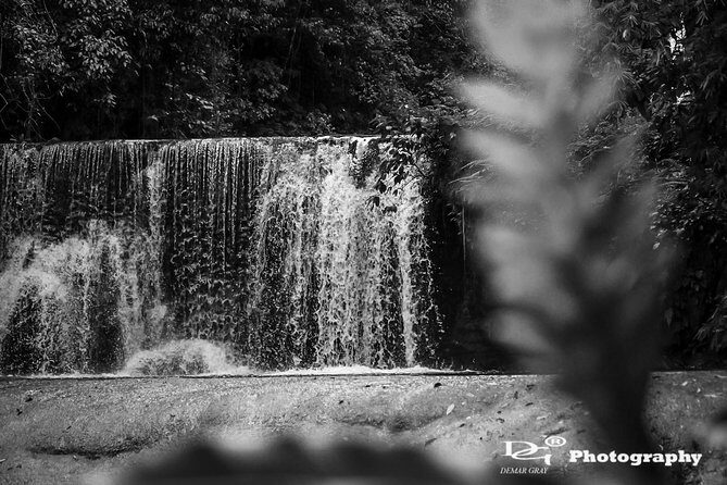 Black River Safari and YS Water Falls - Price and value: what the $110 really turns into