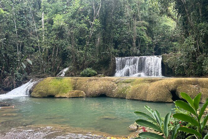 Black River Safari and YS Water Falls - Stop 1 at the Black River Safari: birds, crocodiles, and a 3-mile river ride